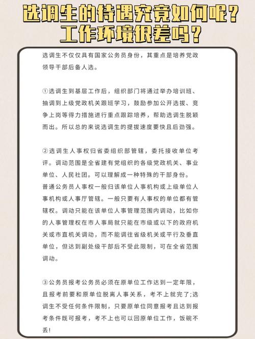 选调生前途怎么样。接受现实