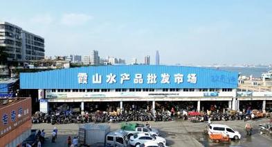 陪伴湛江人几十年的霞山水产品批发市场搬新家了