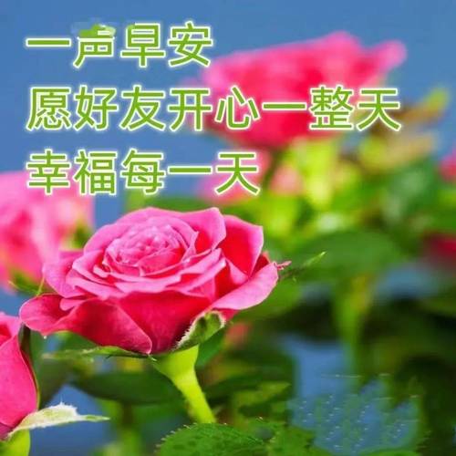 清晨问候早上好的句子带图片，祝福早上好文字图片