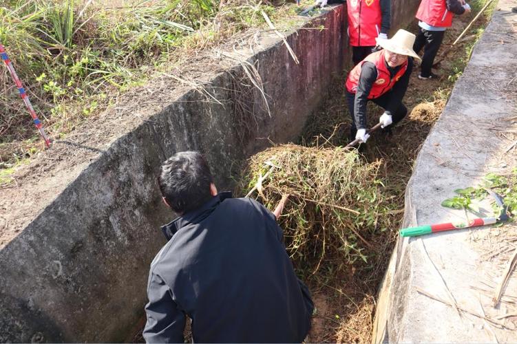 水渠维修材料报告解读：守护生命线，筑牢生态屏障