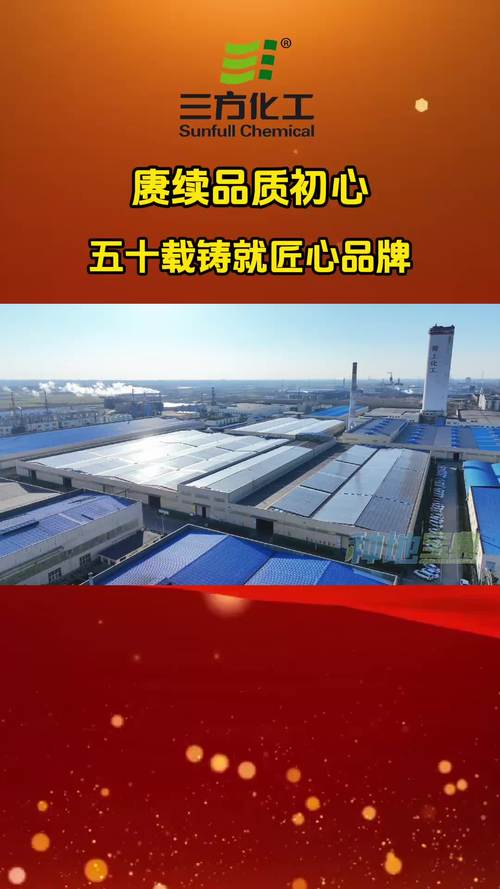 扶手电梯维修报告介绍：科技守护安全，匠心铸就品质